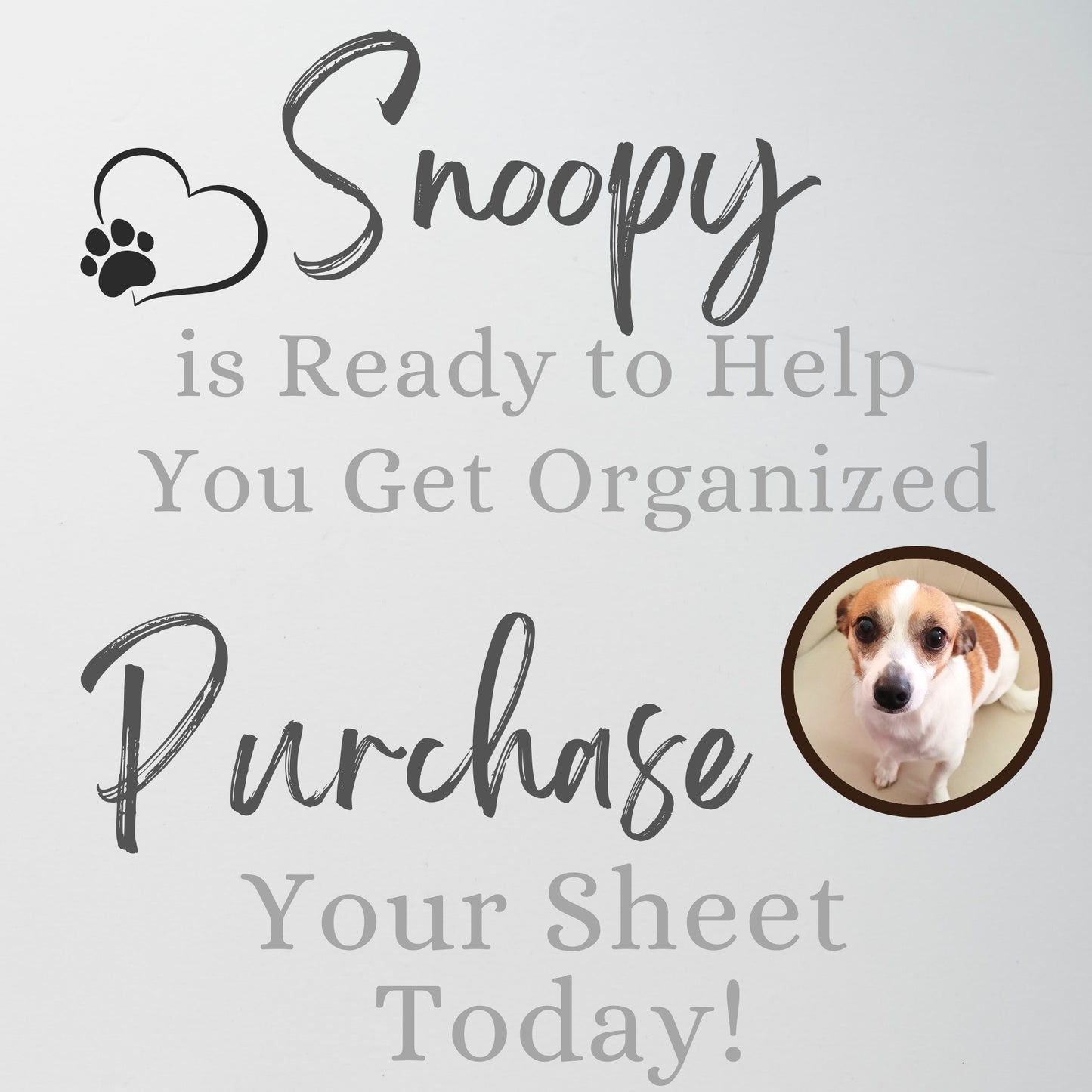 Business Management Template Bundle Google Sheets and Excel Spreadsheet