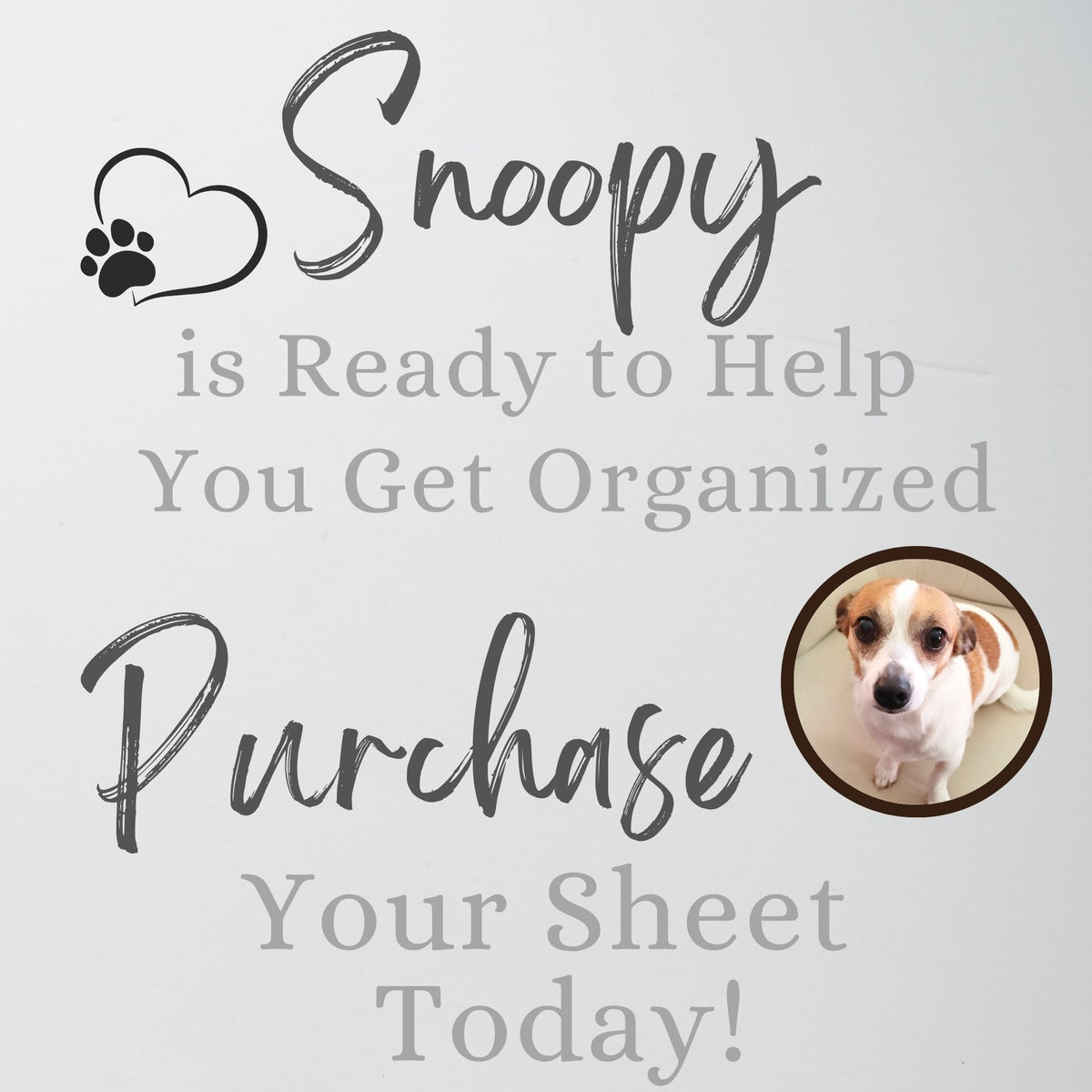 Wedding Planner Spreadsheet Template Google Sheets and Excel | Digital Wedding Organizer Brides & Wedding Coordinators