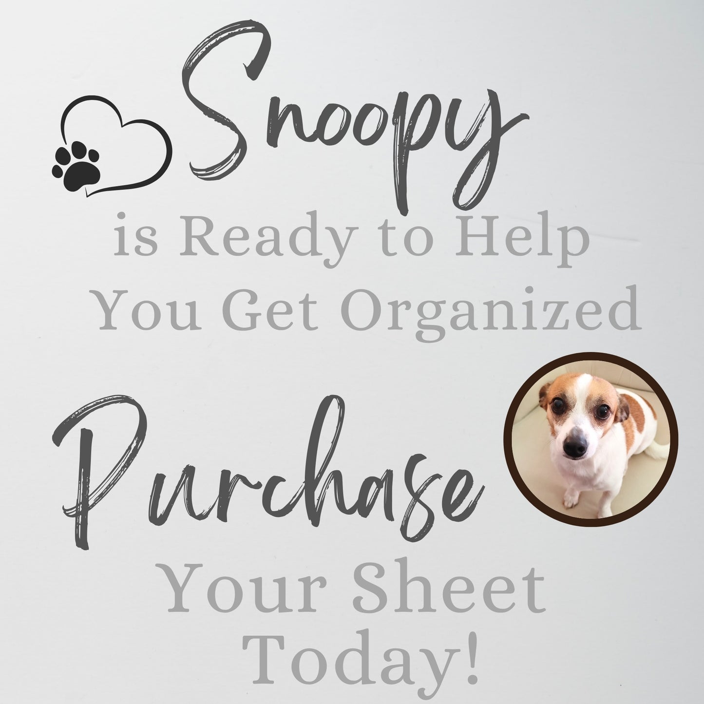 Real Estate Bookkeeping Template Google Sheets Excel Spreadsheet