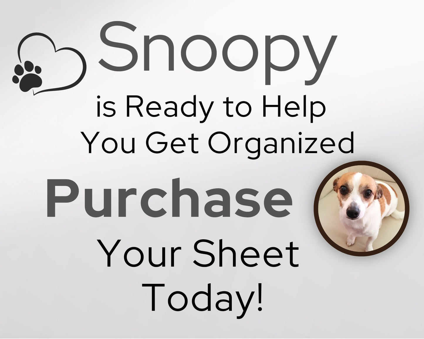 Simple Monthly Budget Template | Google Sheets & Excel Template - Premium Version