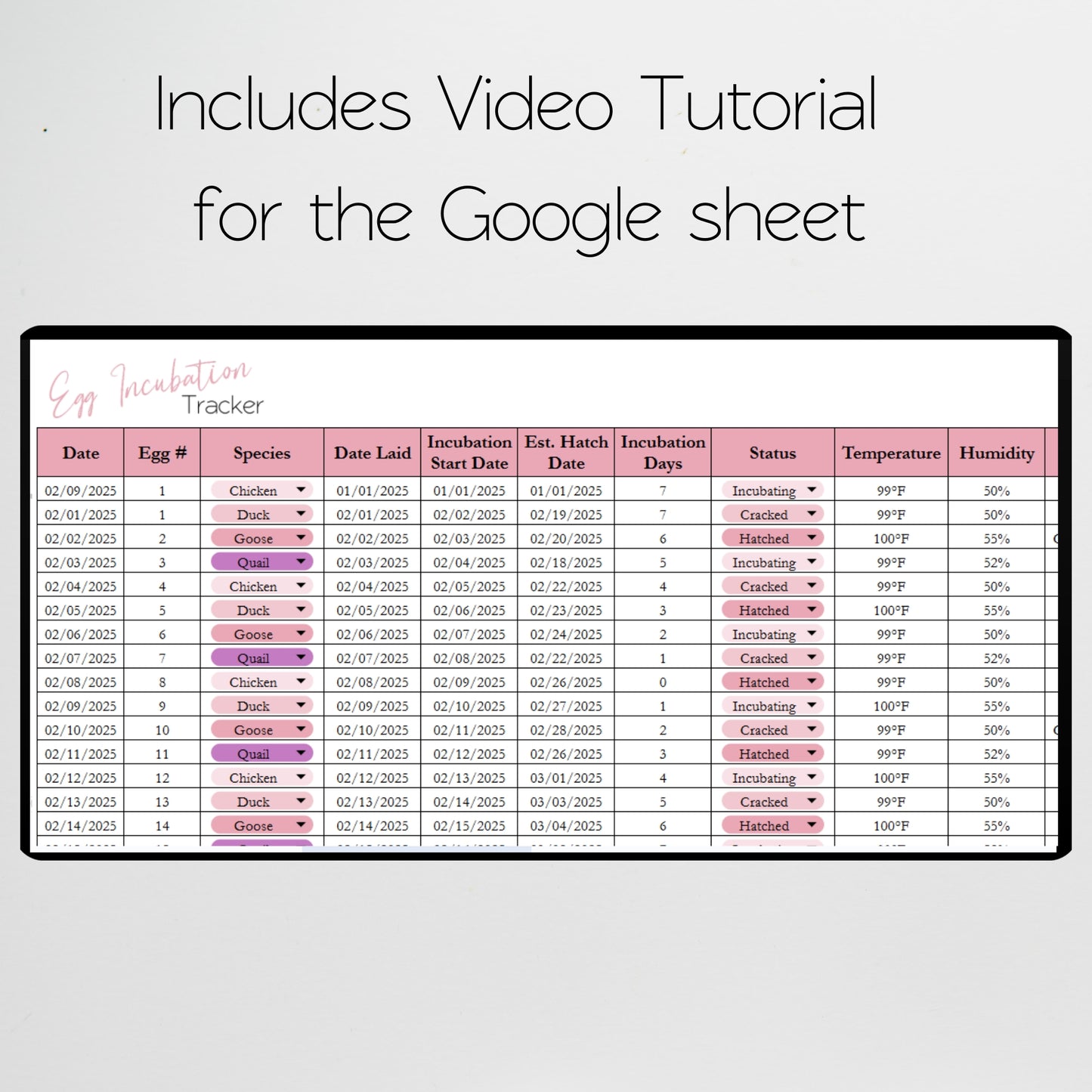 Egg Hatching Tracker Template Google Sheets and Excel Spreadsheet