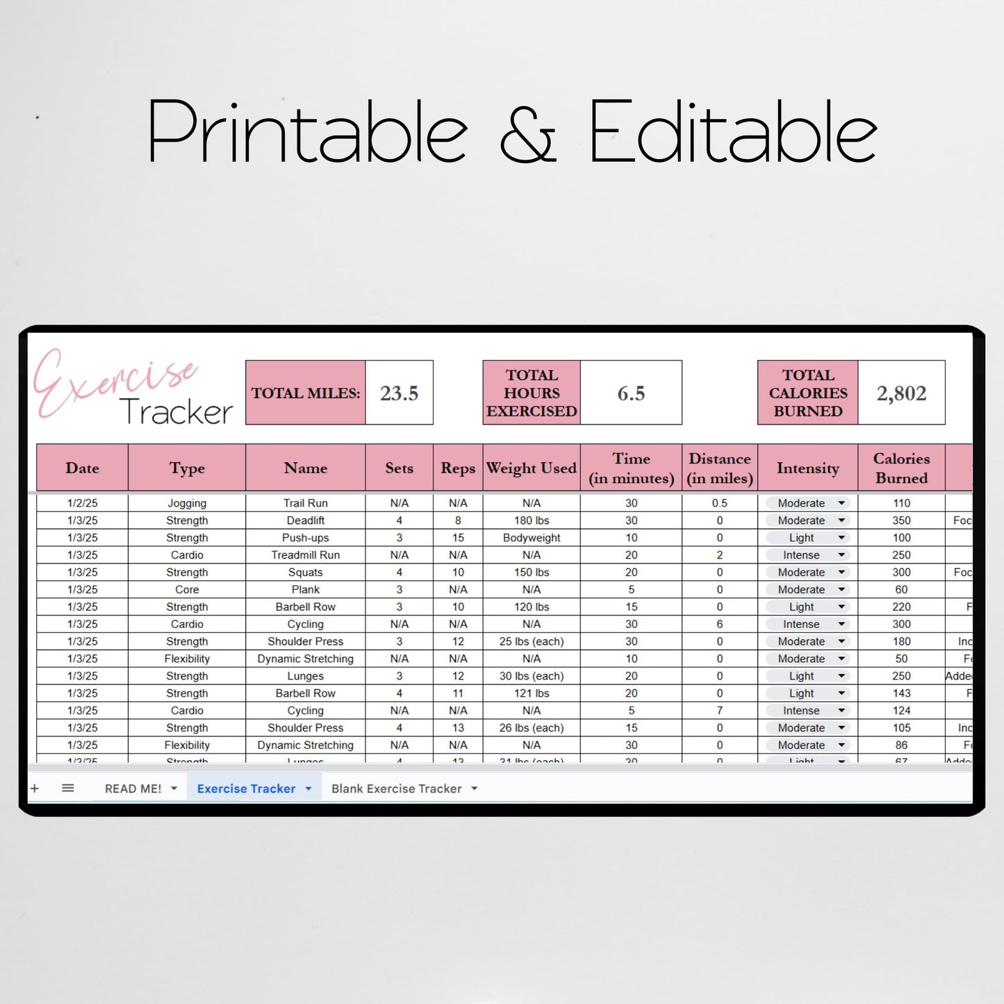 Exercise Tracker Google Sheet Template and Excel Spreadsheet