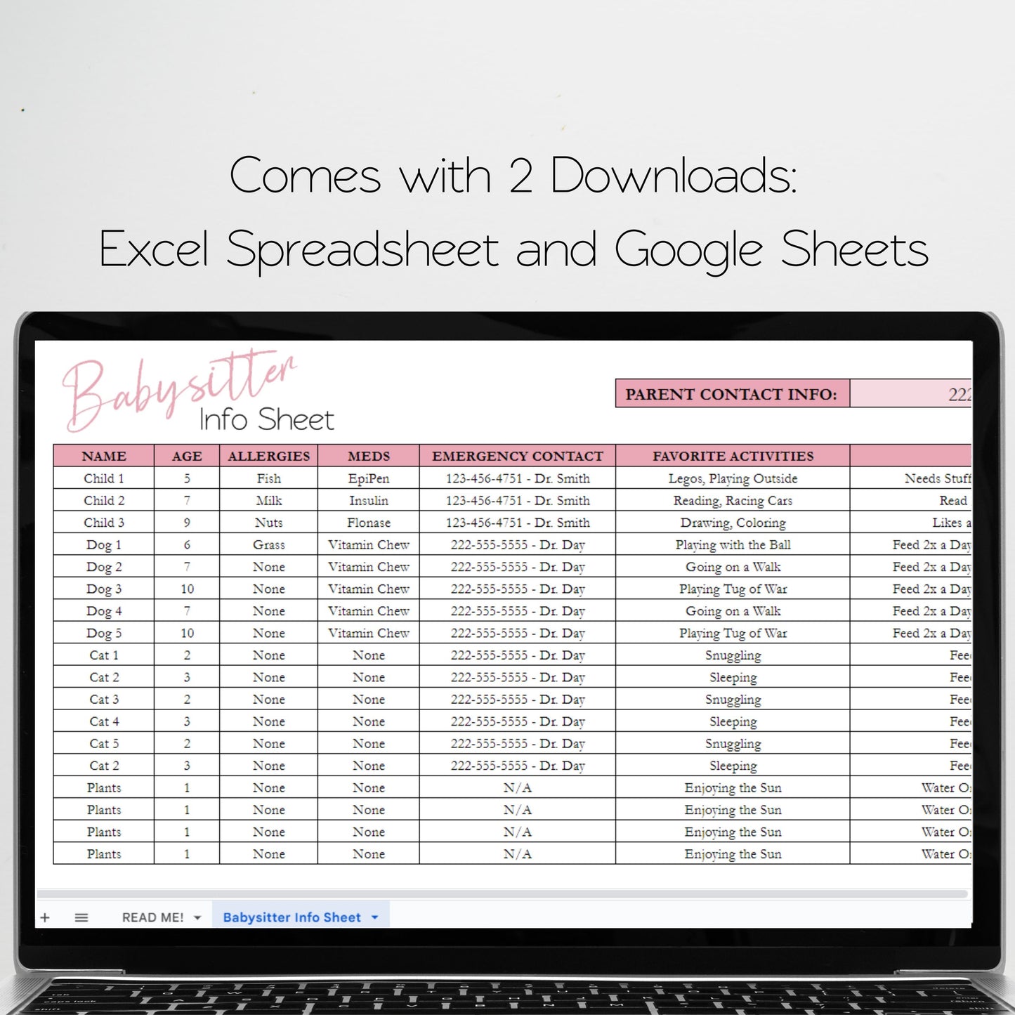 Babysitter Info Sheet Excel Spreadsheet Google Sheet