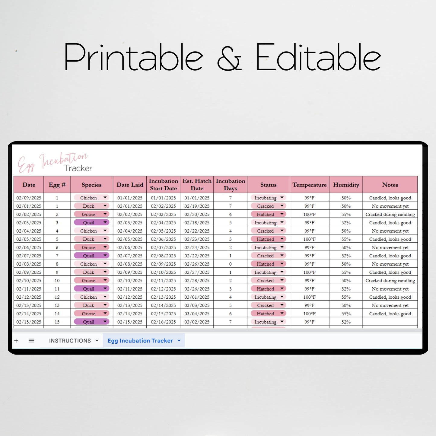 Egg Hatching Tracker Template Google Sheets and Excel Spreadsheet