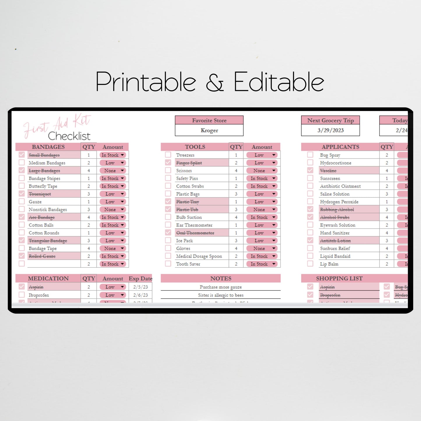 First Aid Kit Checklist Google Sheet and Excel Spreadsheet