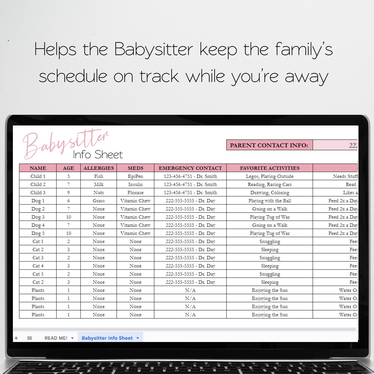 Babysitter Info Sheet Excel Spreadsheet Google Sheet