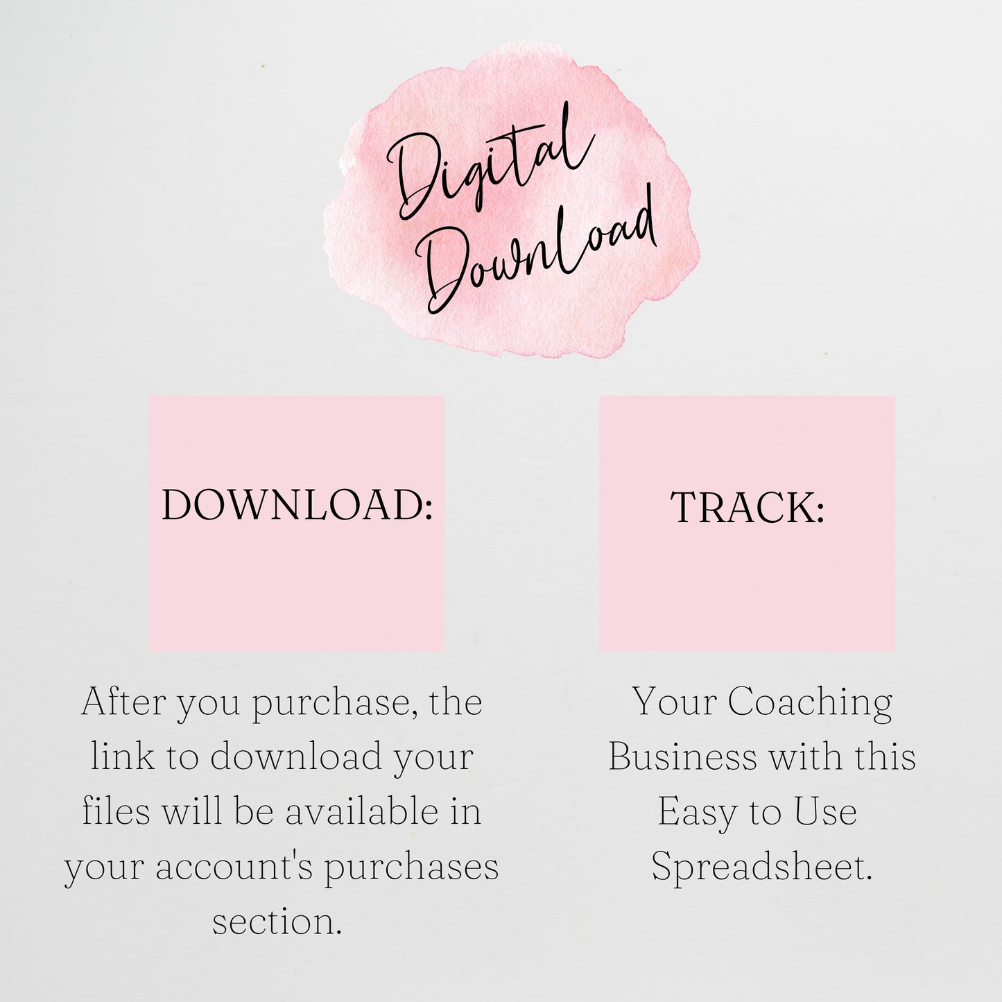 Coaching Business Template Bundle Google Sheet and Excel Spreadsheet