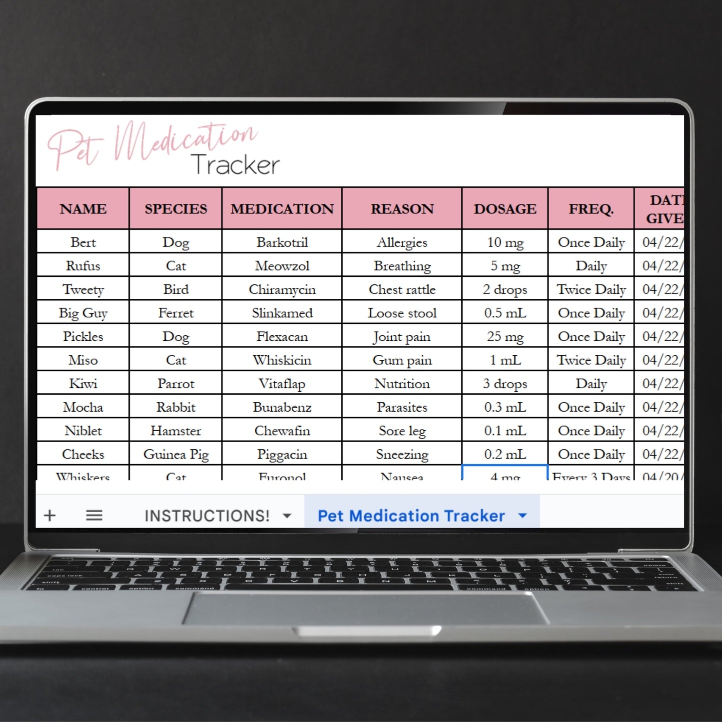 Pet Medication Tracker Template for Google Sheets and Excel Spreadsheet