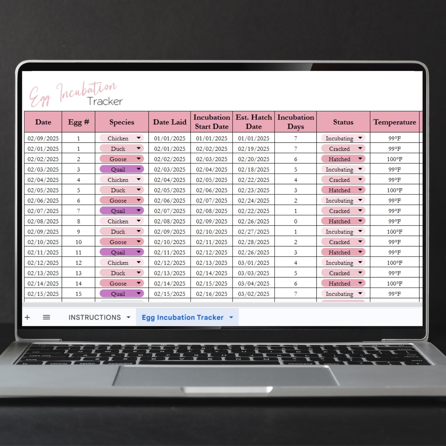 Egg Hatching Tracker Template Google Sheets and Excel Spreadsheet