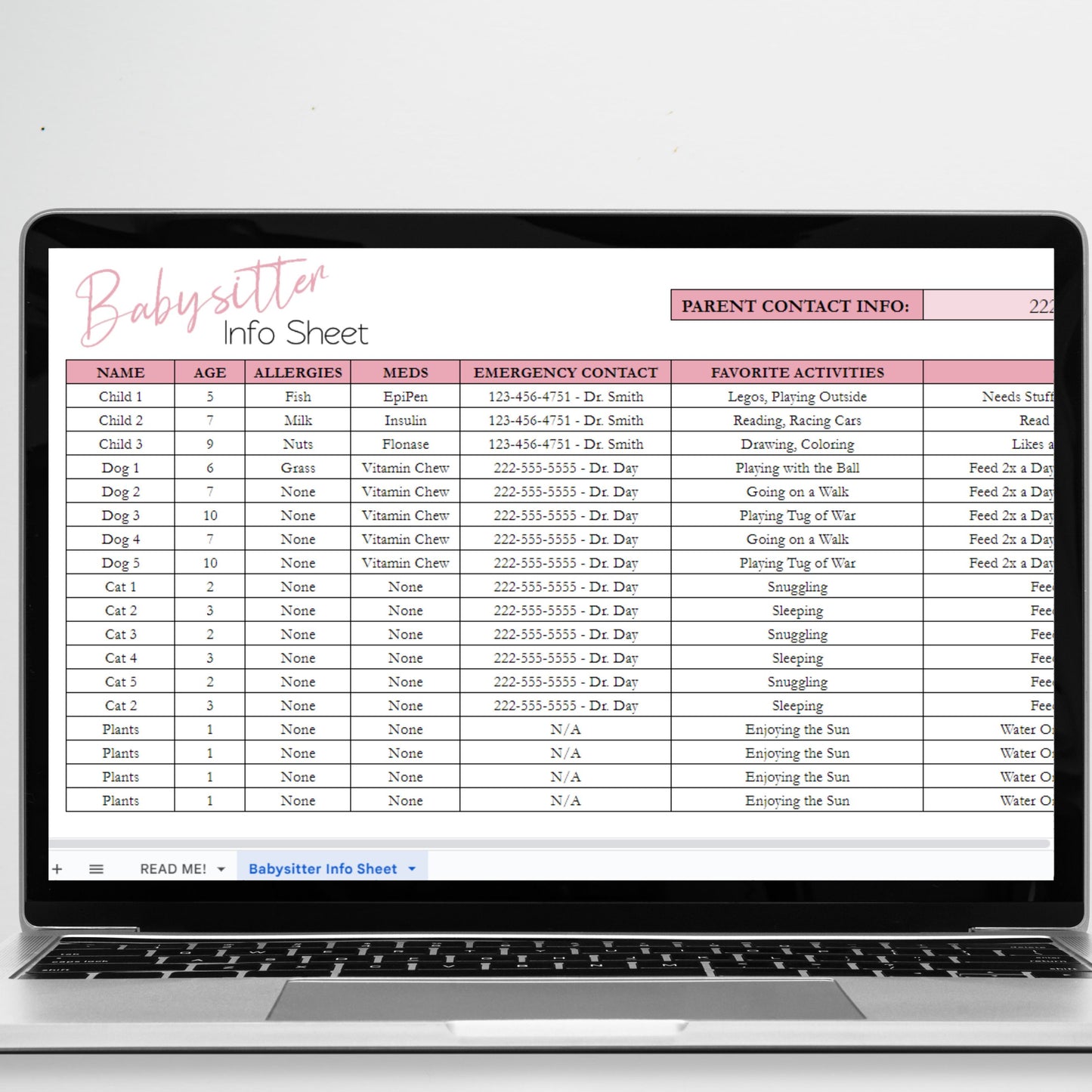 Babysitter Info Sheet Excel Spreadsheet Google Sheet