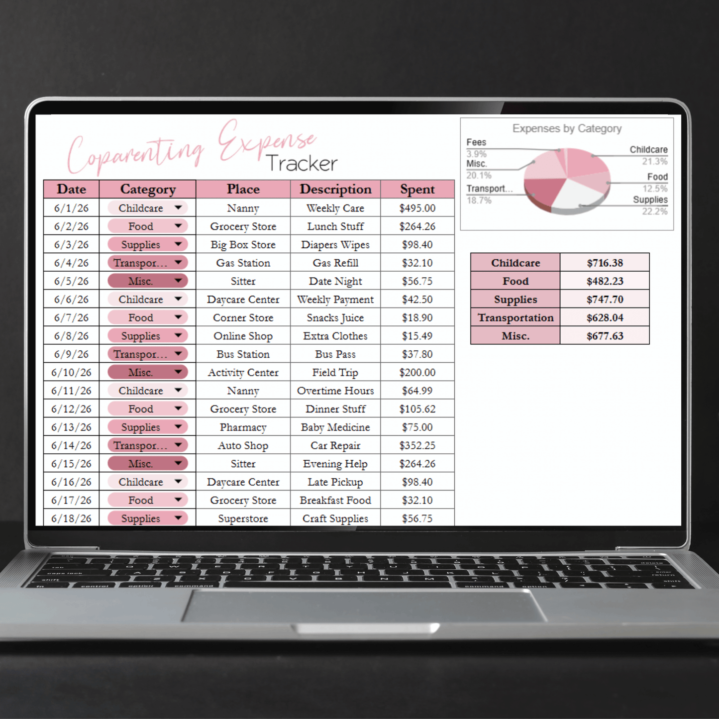 Coparenting Expense Tracker Google Sheets and Excel Spreadsheet Template