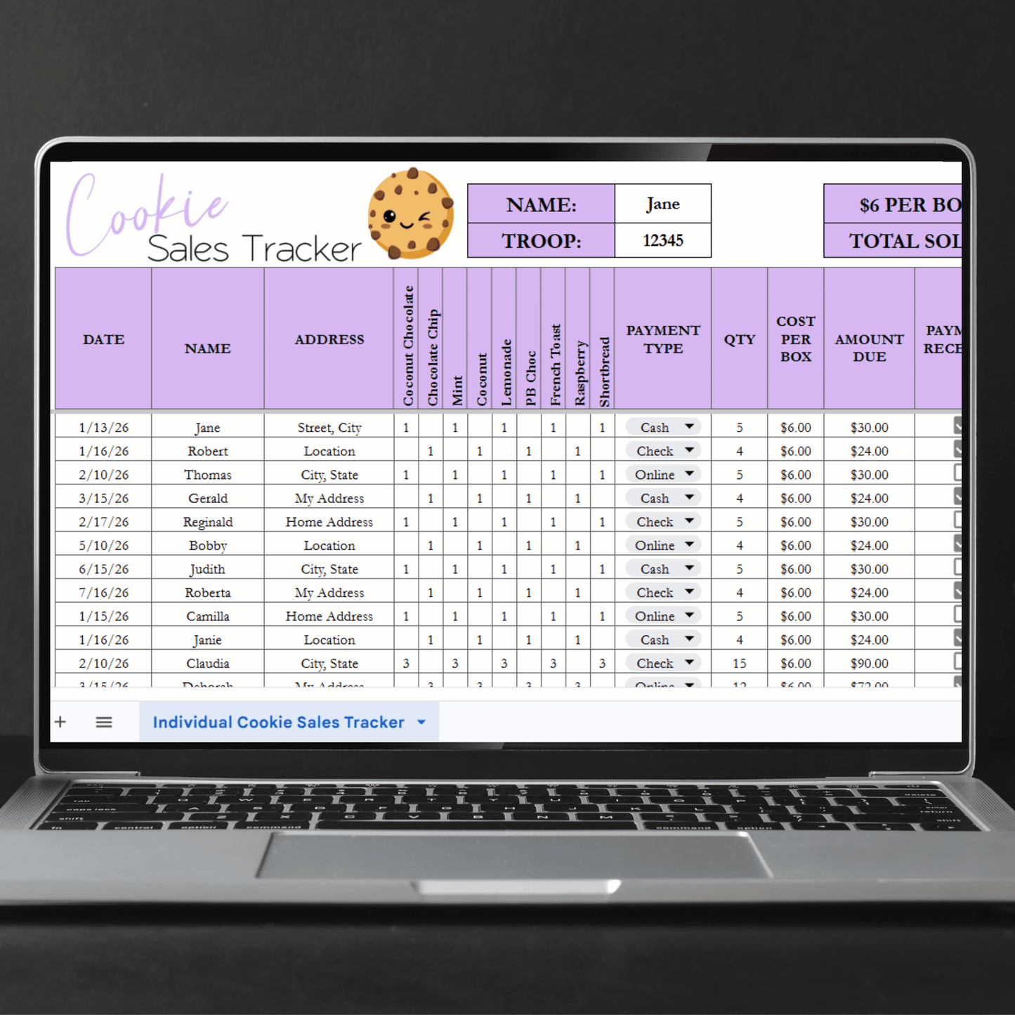 Cookie Sales Tracker Template Google Sheets and Excel Spreadsheet