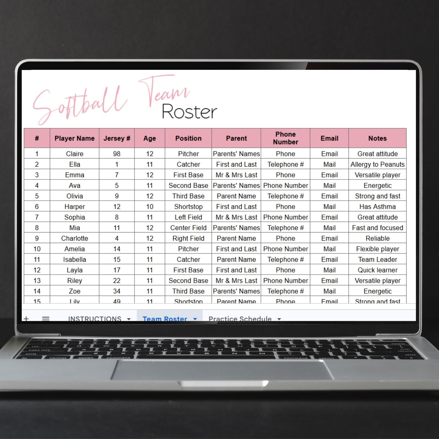 Softball Team Roster & Practice Schedule Template for Google Sheets & Excel | Coach Spreadsheet | Youth Sports Team Organizer | Instant Download