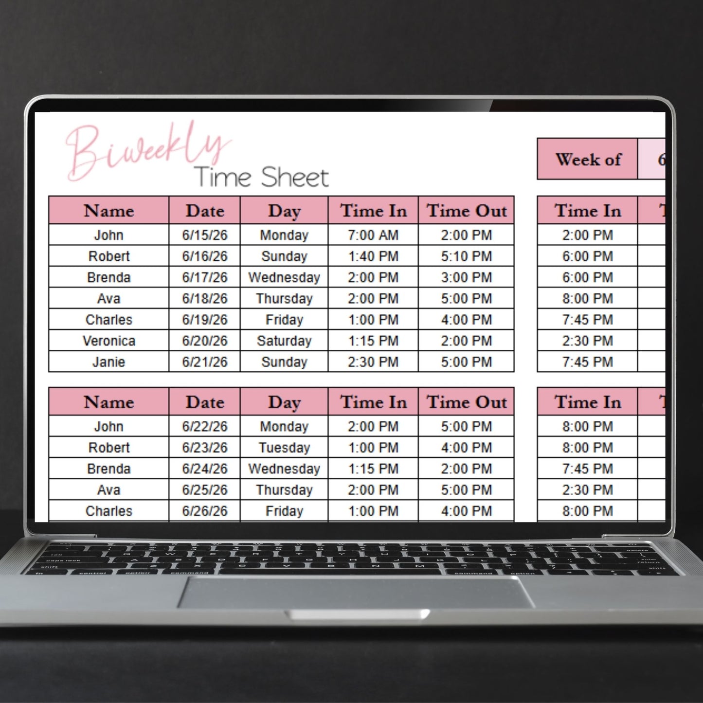 Biweekly Time Sheet Template — Google Sheets & Excel | Editable Time Log, Payroll Tracker & Overtime Calculator