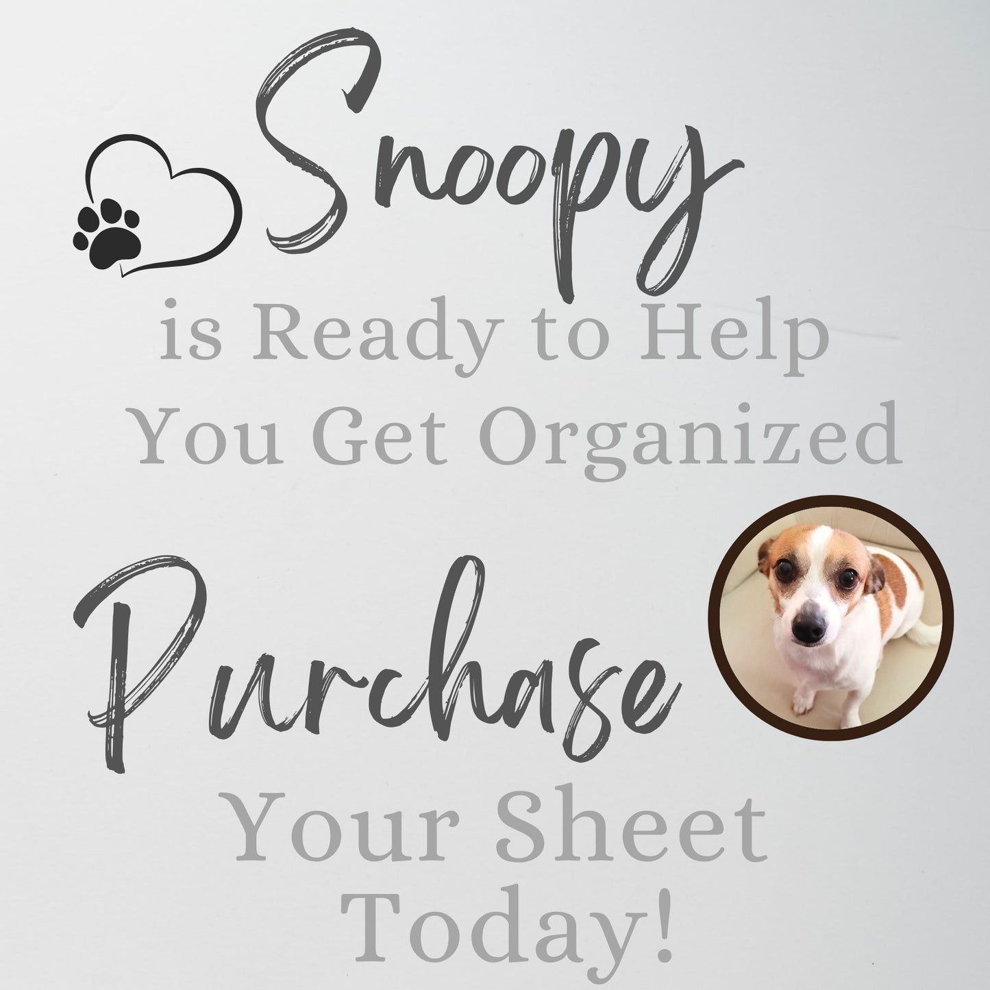 Cake Pop Pricing Calculator Google Sheets and Excel | Bakery Cost Spreadsheet & Profit Margin Template
