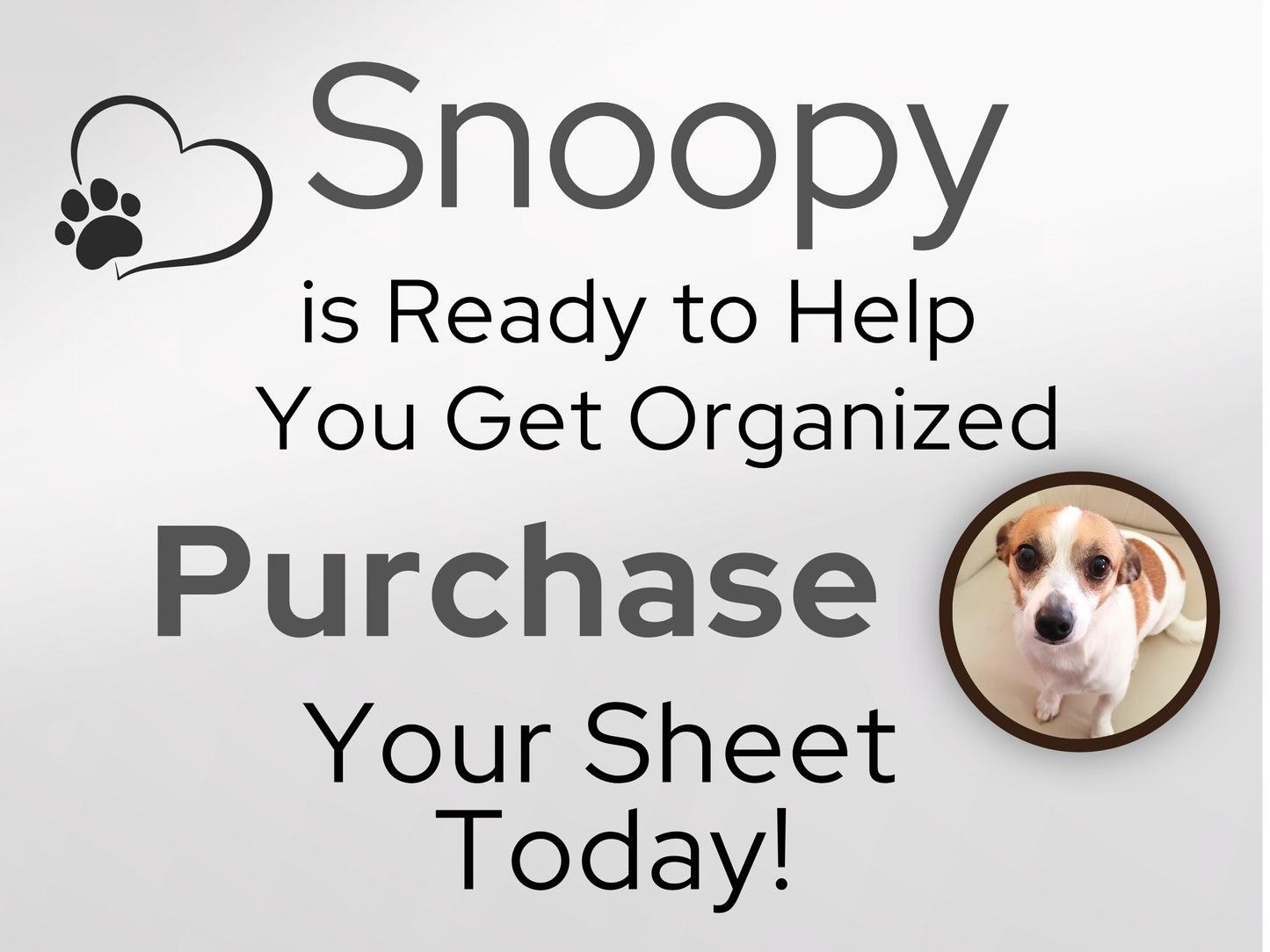 Simple Monthly Budget Template | Google Sheets & Excel Template - Premium Version