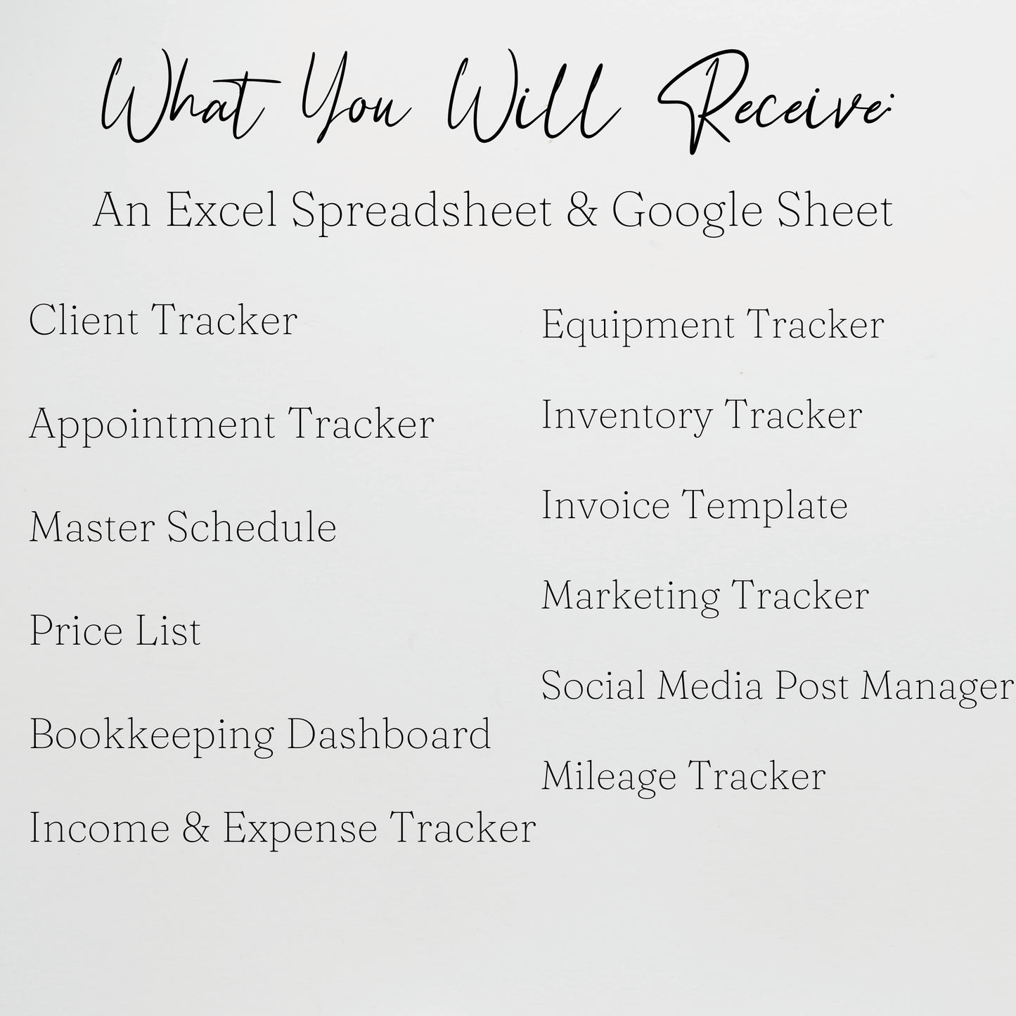 Esthetician Business Template Bundle Google Sheet and Excel Spreadsheet