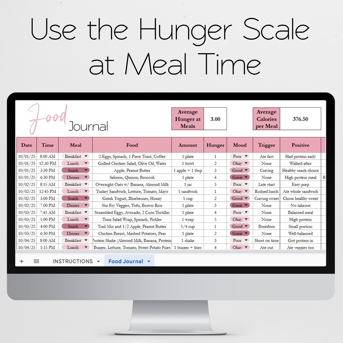 Food Journal Template Google Sheets and Excel Spreadsheet