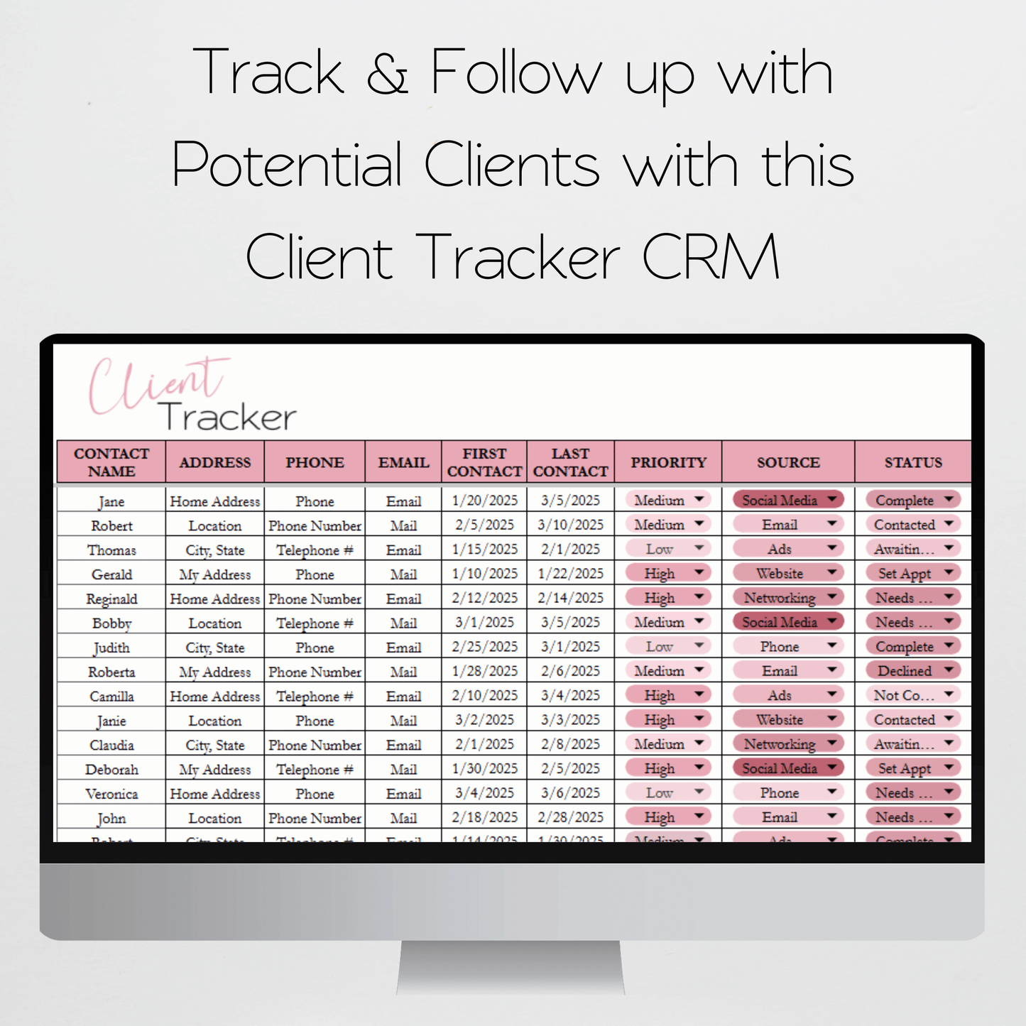 Esthetician Business Template Bundle Google Sheet and Excel Spreadsheet