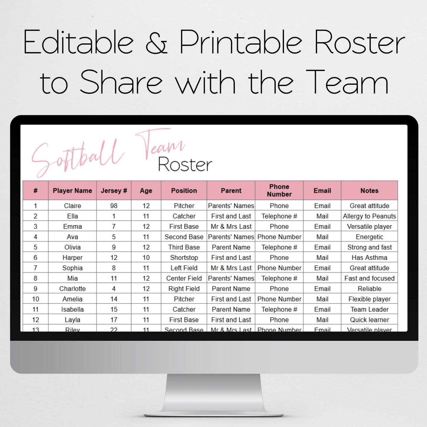 Softball Team Roster & Practice Schedule Template for Google Sheets & Excel | Coach Spreadsheet | Youth Sports Team Organizer | Instant Download