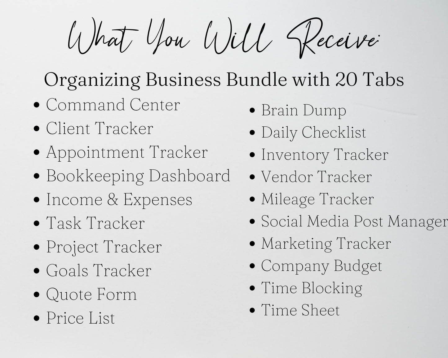 Organizing Business Spreadsheet Bundle | Google Sheets & Excel Spreadsheet for Professional Organizer