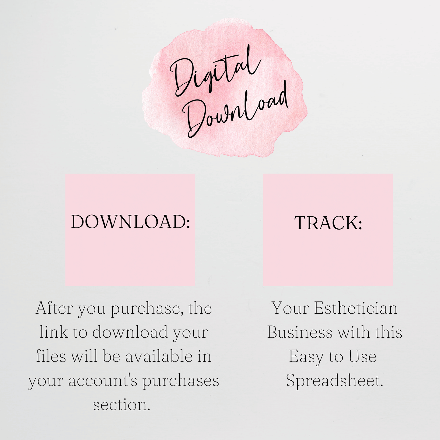 Esthetician Business Template Bundle Google Sheet and Excel Spreadsheet