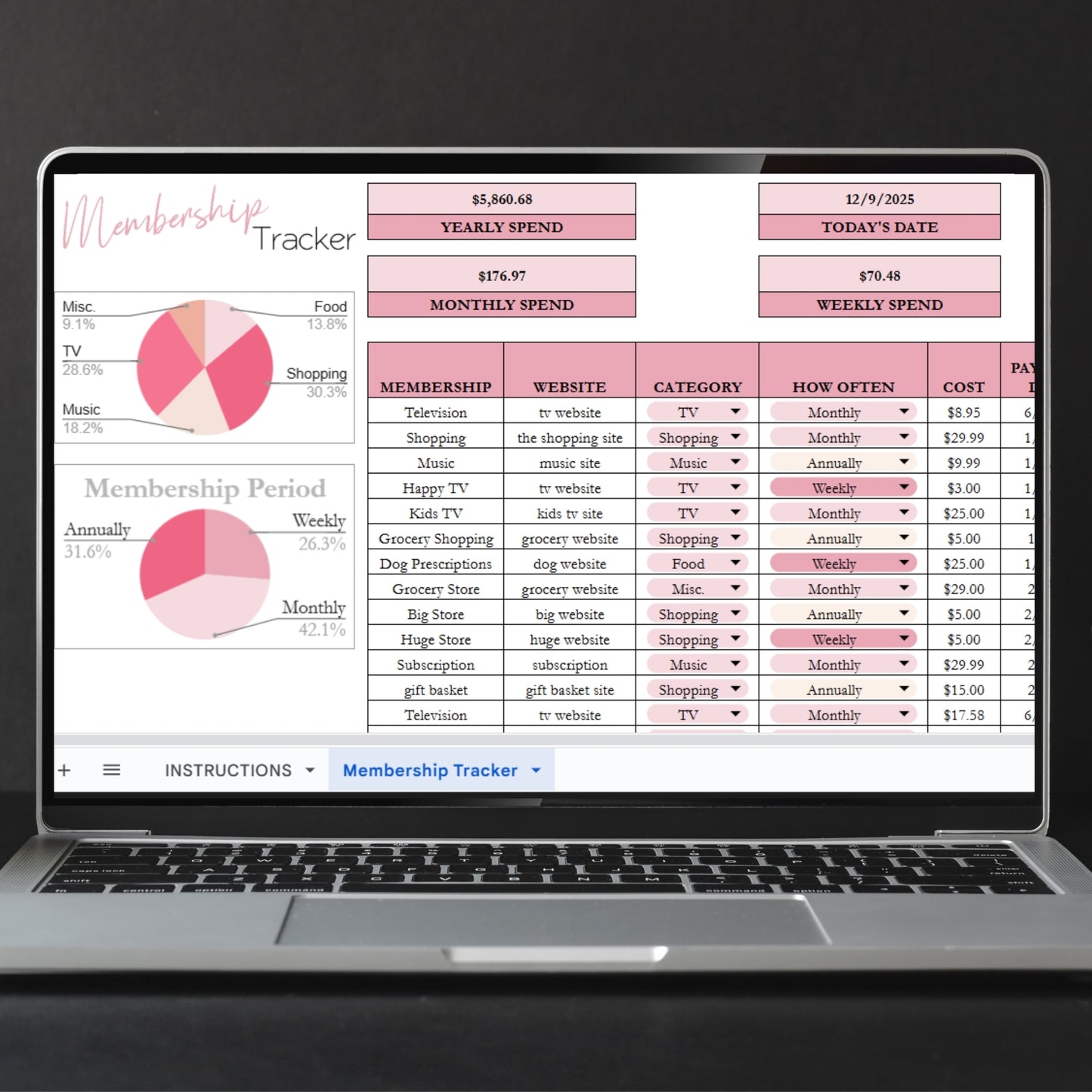 Membership Tracker Template Google Sheet and Excel Spreadsheet