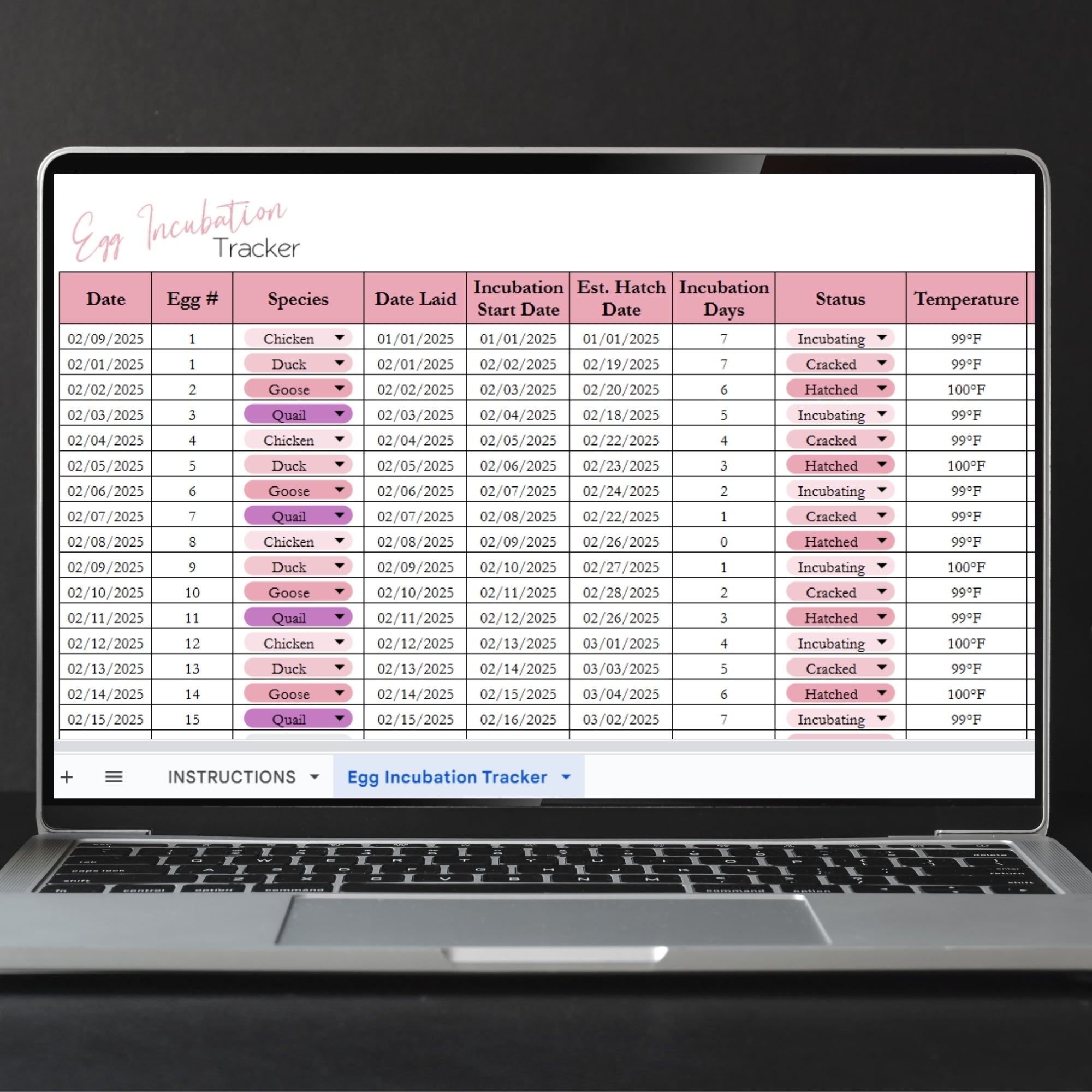 Hatching Record Egg Hatching Tracker Template Google Sheets and Excel Spreadsheet ...