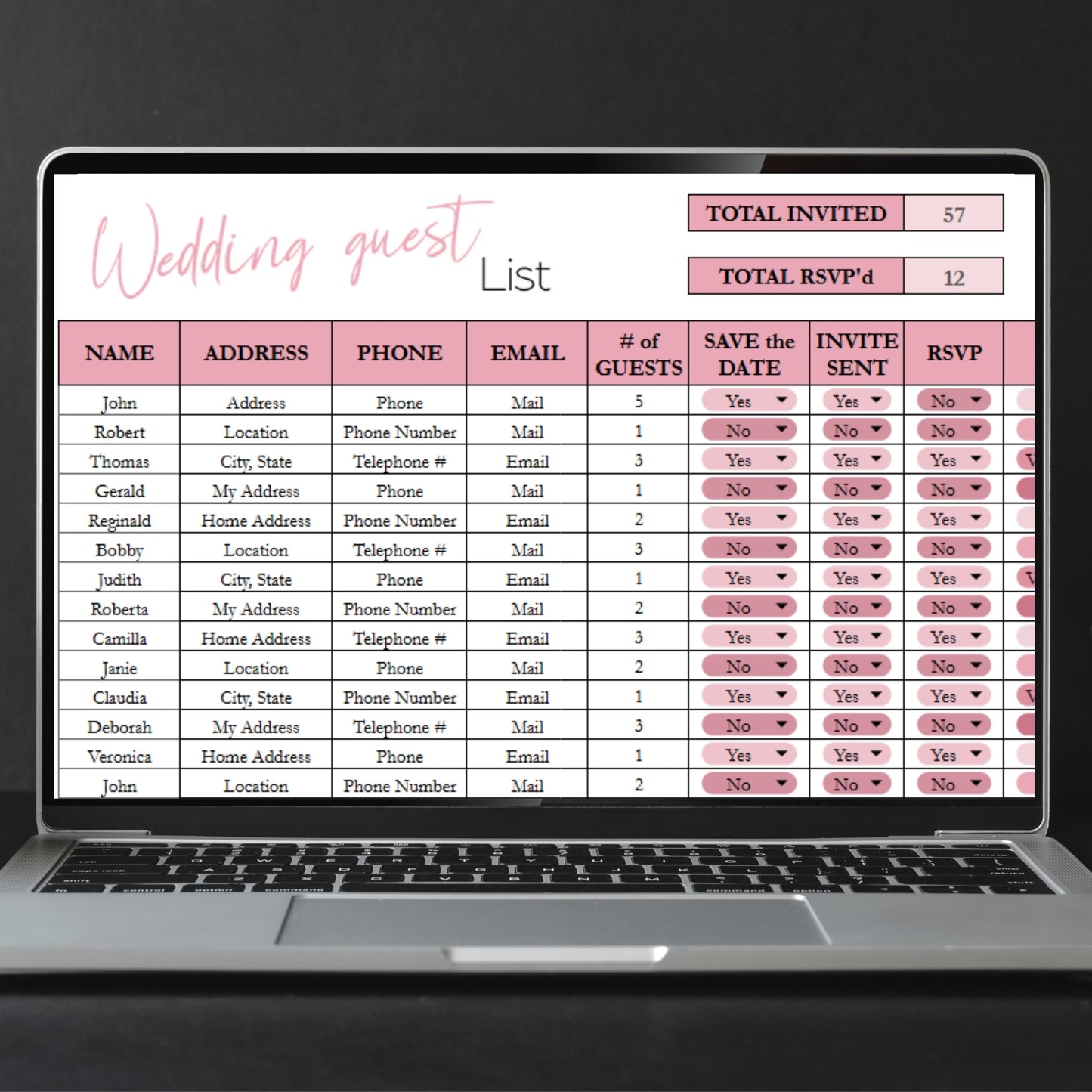 Wedding Guest List Tracker Template | Google Sheets & Excel Spreadsheet - RSVP, Invitations, Save the Date, Thank you Planner